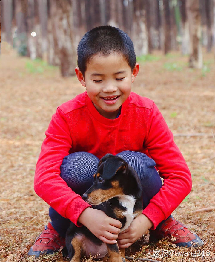 天气还不错，赶紧捡🍂去。
顺便和卷毛小七🐶约个会。_狗宠物