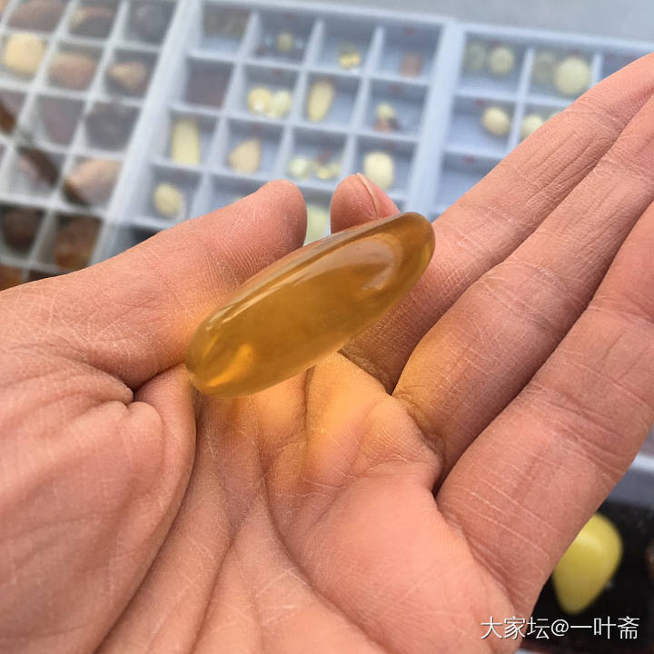 昨天做的金绞蜜水滴坠_挂件琥珀蜜蜡