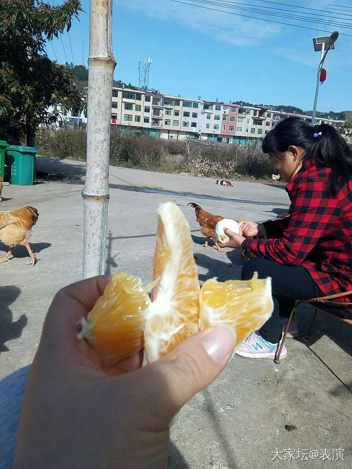 晒太阳☀吃橙子_水果