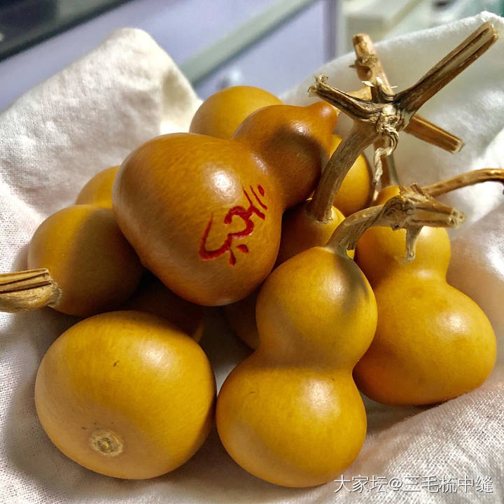 一堆老头乐_葫芦核桃木