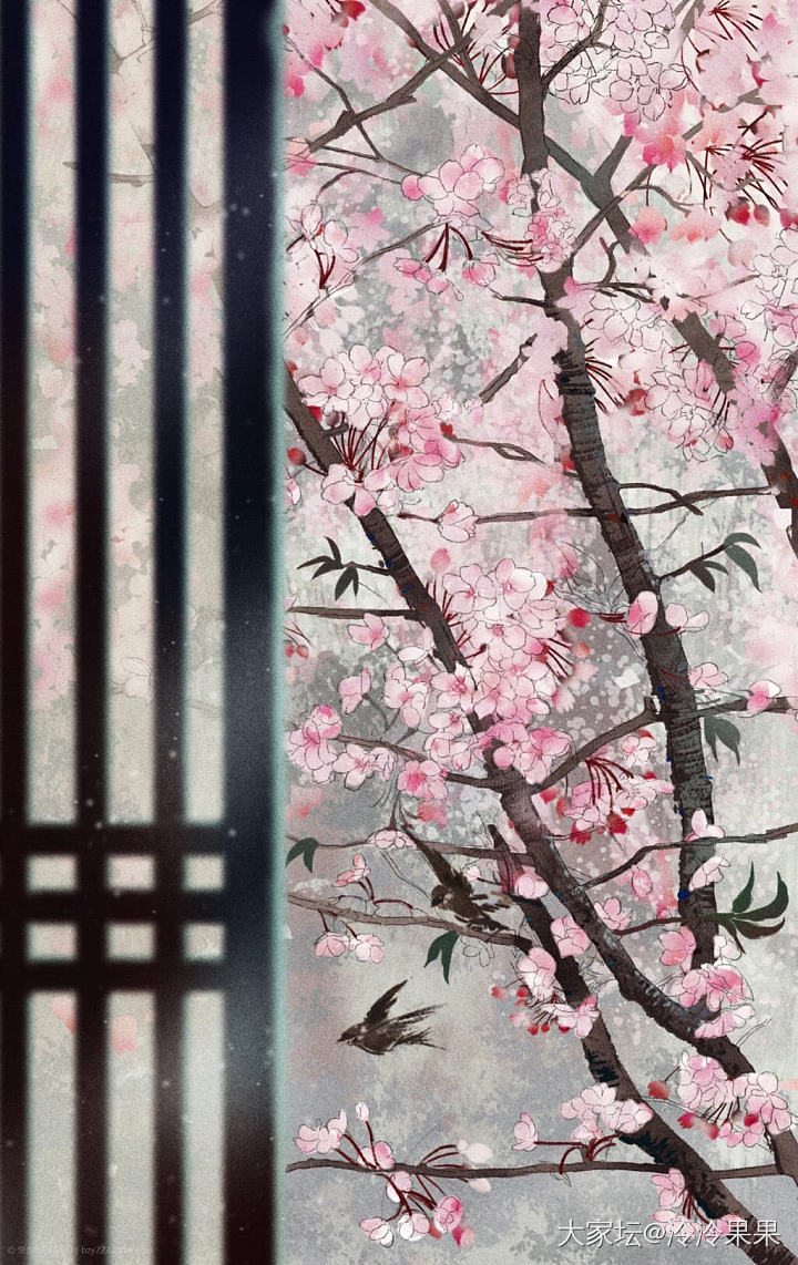 大家觉得哪张图比较好看～_舒俱来