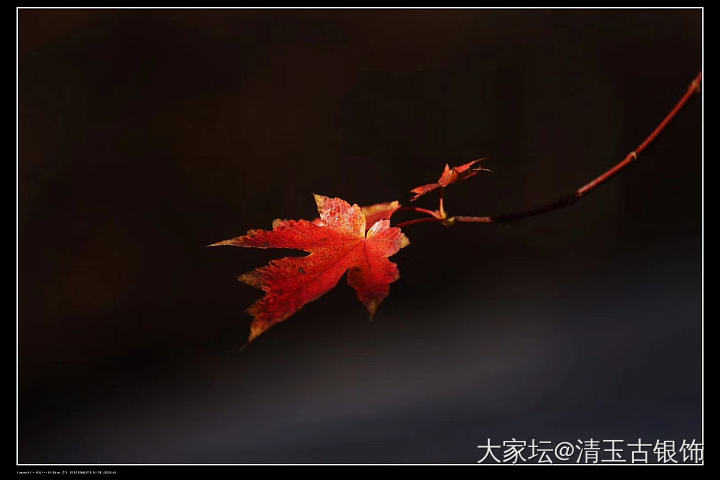 还是秋的漂亮_摄影