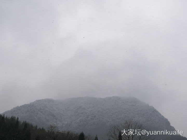 好大好大的雪_景色闲聊