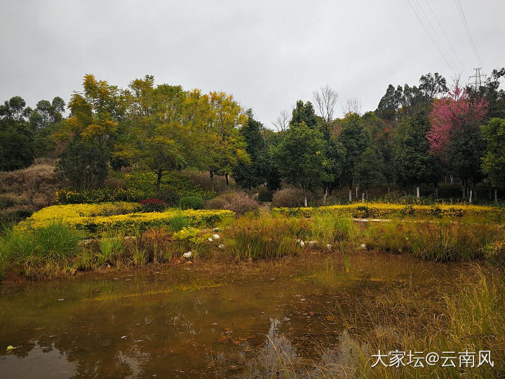 早开的花，红色已谈去，晚开的更美，更壮观，下次再出太阳时可以欣赏到。_景色