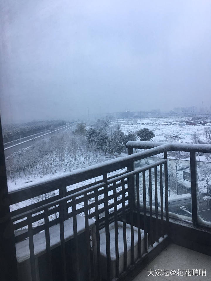 各位亲们，早安～居然又下雪了❄️_闲聊