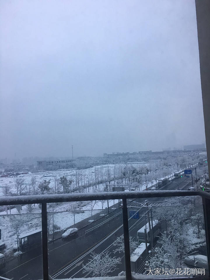 各位亲们，早安～居然又下雪了❄️_闲聊