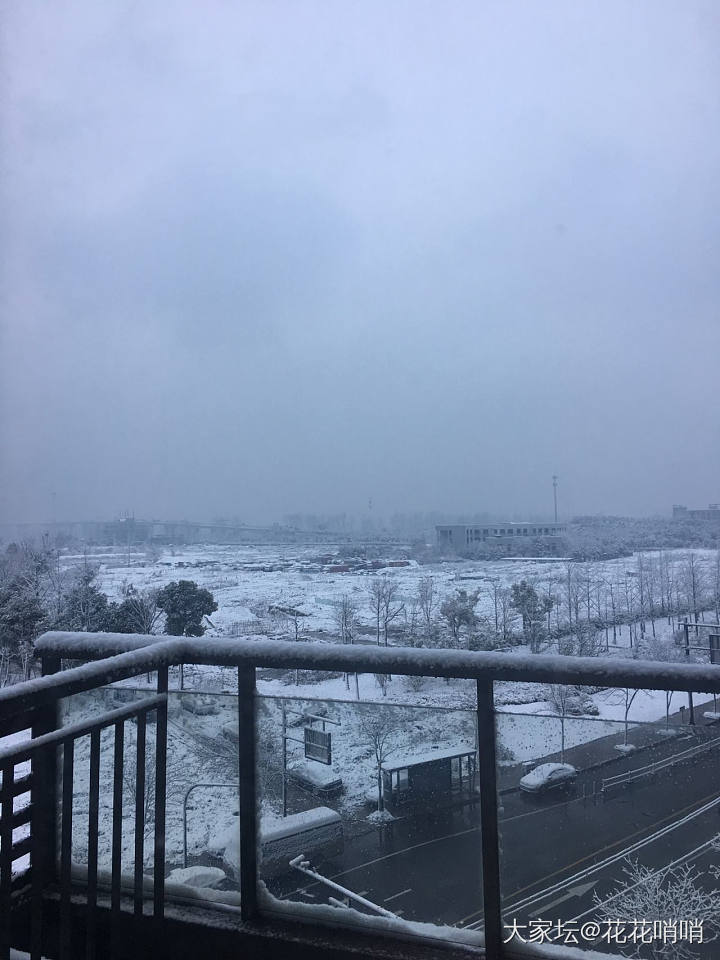 各位亲们，早安～居然又下雪了❄️_闲聊