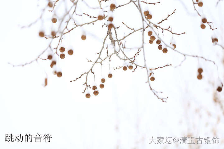 2019的第一场雪_摄影