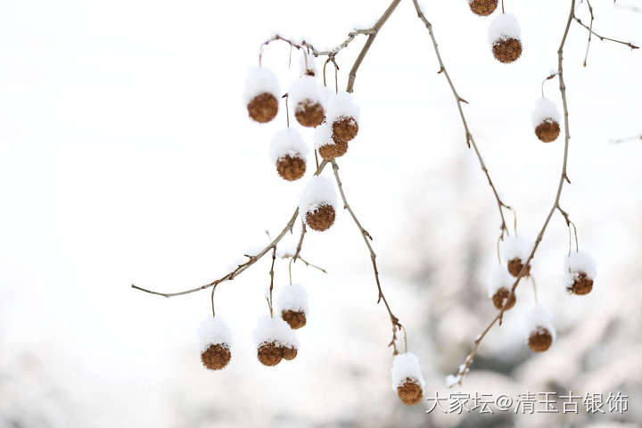 2019的第一场雪_摄影