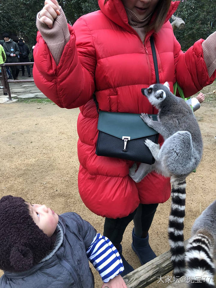 新年第一天，动物园喂喂猴子_闲聊哺乳类