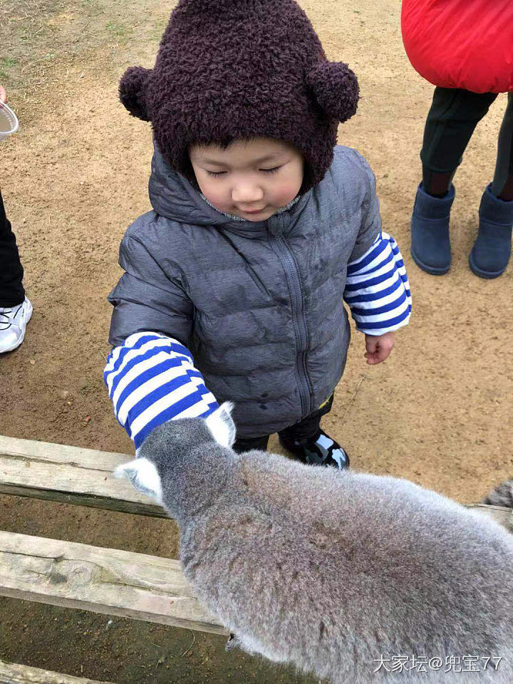 新年第一天，动物园喂喂猴子_闲聊哺乳类