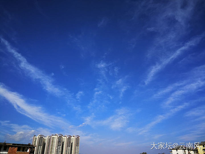 今天天气好，花盛开_景色