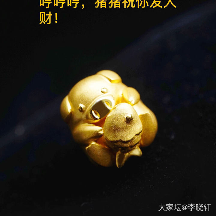 哈哈哈，快来看看这只猪猪吧！_设计