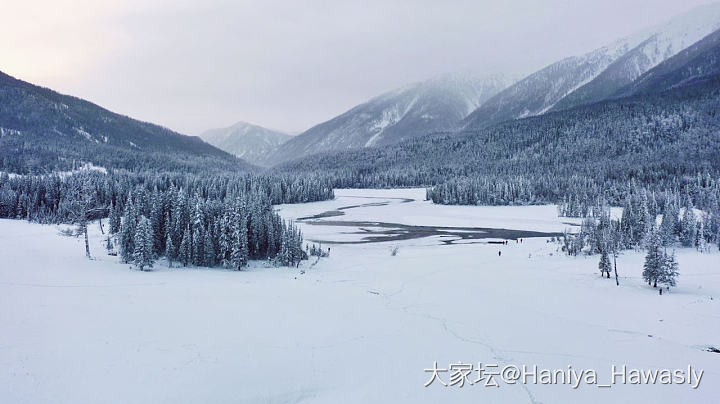 水墨喀纳斯_景色旅游