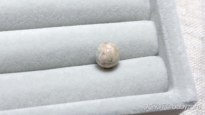 蛋花 舒俱来_舒俱来