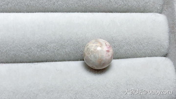 蛋花 舒俱来_舒俱来