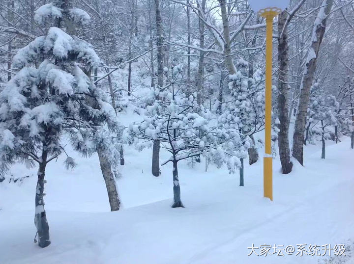 坛里有五台山的坛友吗，想正月去，人很多吗？是不是很冷有雪？需要注意些啥？_旅游