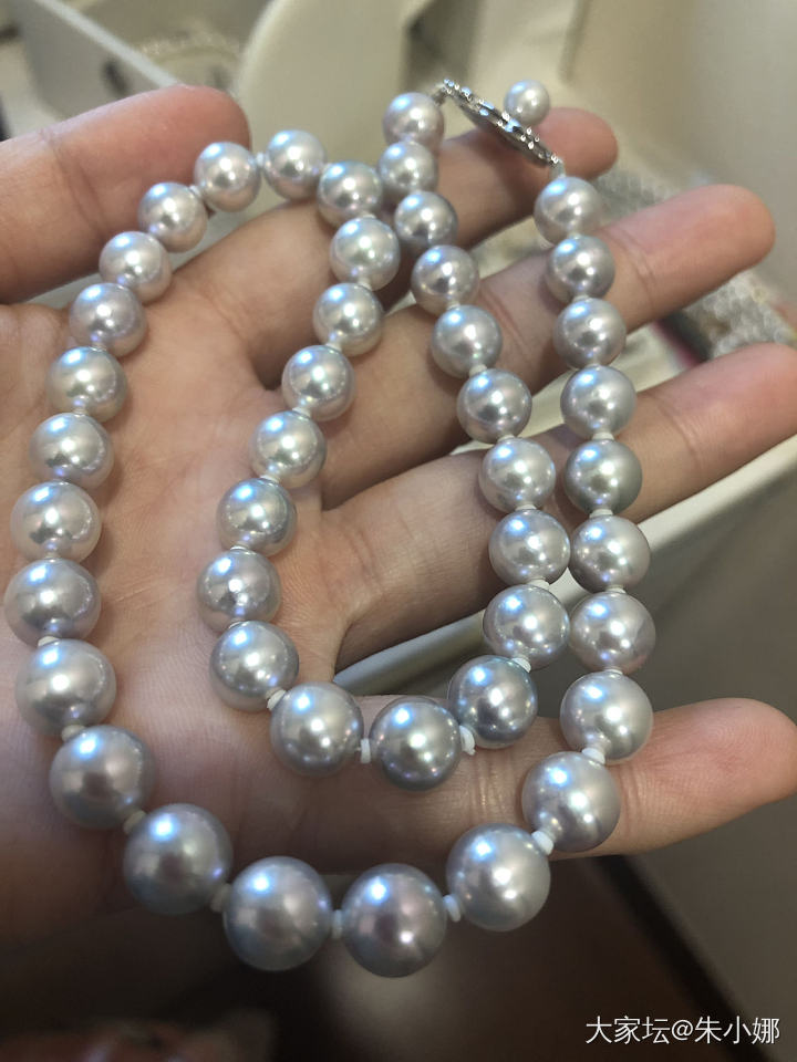 阴天，自然心情就跟着阴郁起来，翻出我的麻麻，想想它的小钢炮的样子，决定带着它出门..._珍珠