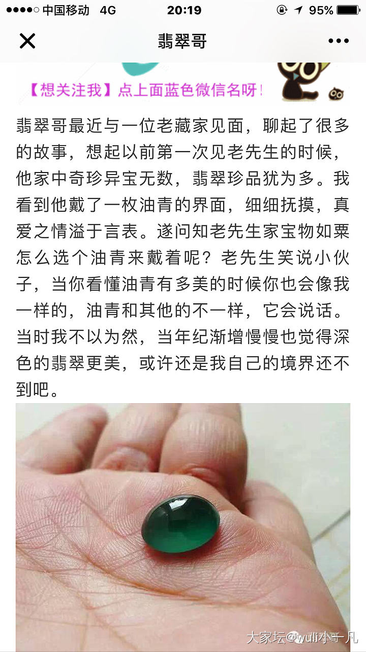 这篇文章有道理吗？_翡翠