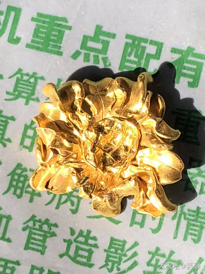 吃金砸的狗_金