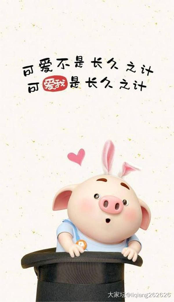 今年被🐷宝宝萌到了_贴图