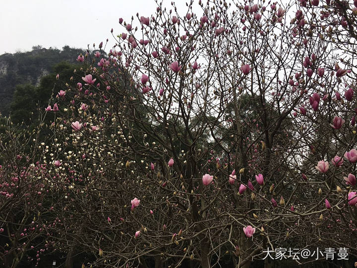 大年初一踏青_和田玉