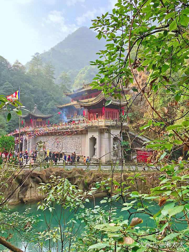 千佛山看山看水 未来寺观鱼观心._旅游