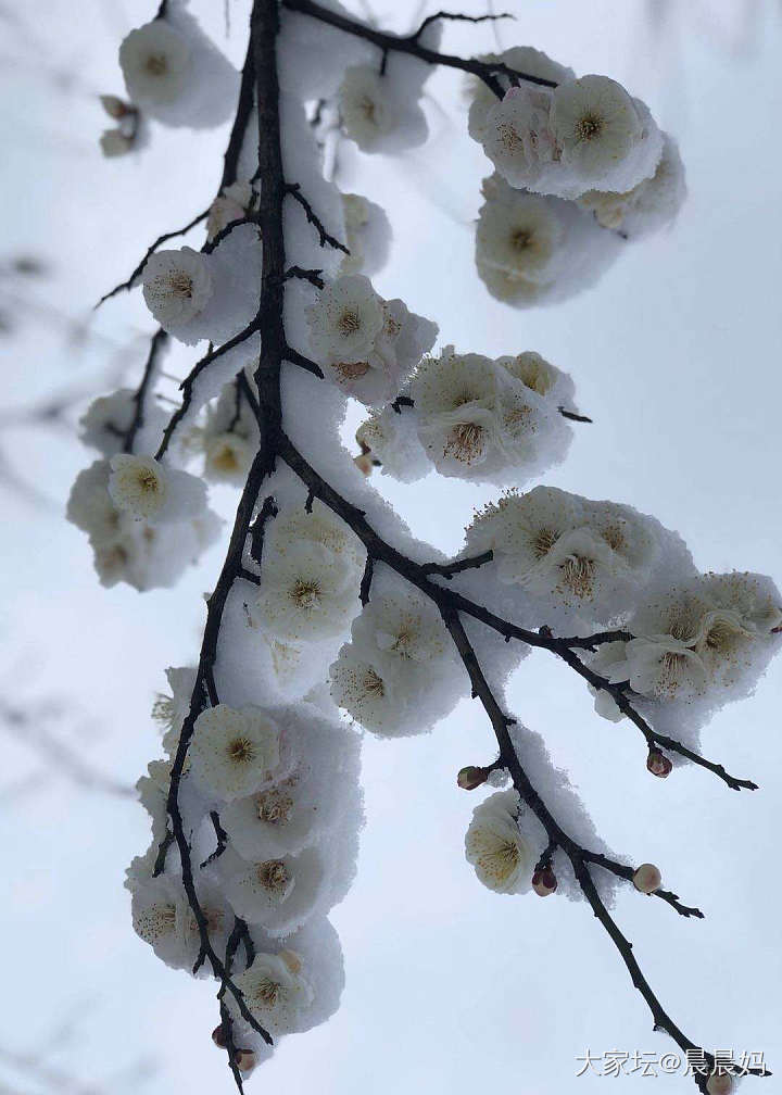 下雪天跟翡翠更配_翡翠