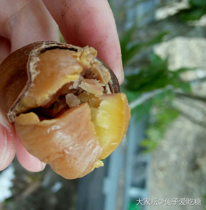 海边烤地瓜 鸡蛋 板栗 叫花鸡！_美食