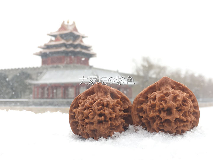 北京终于下雪了_北京景色