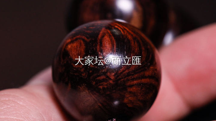 海南黄花梨的纹理之美，鬼脸、蜘蛛纹、蝴蝶纹有木有？_串珠木