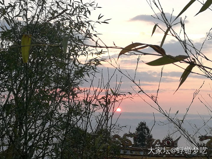 摸黑爬山看日出🌄_景色