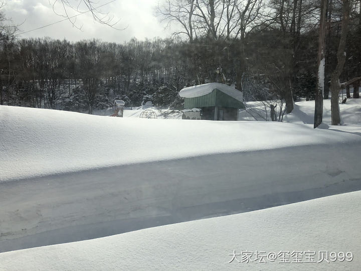 北海道归来_日本旅游