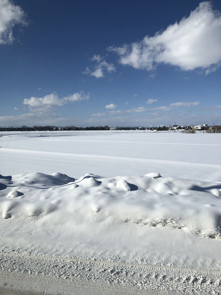 北海道归来_日本旅游