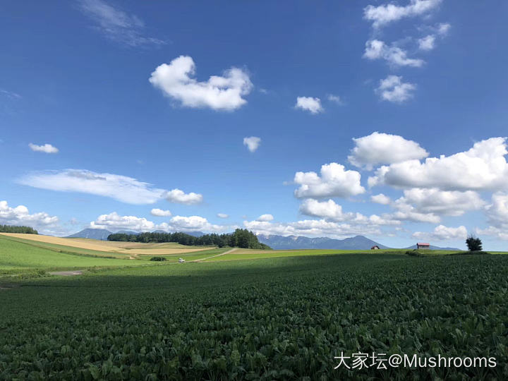 北海道归来_日本旅游