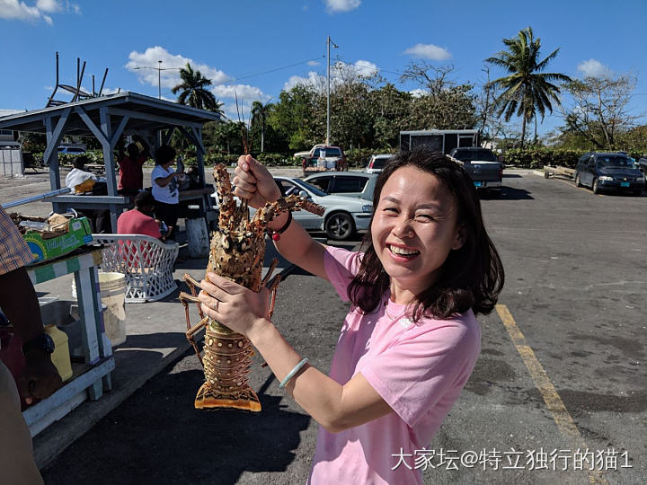 秀秀巴哈马的海滩_旅游