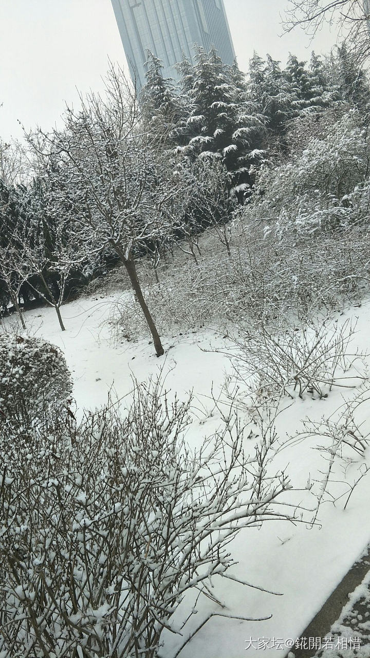 下雪啦_景色