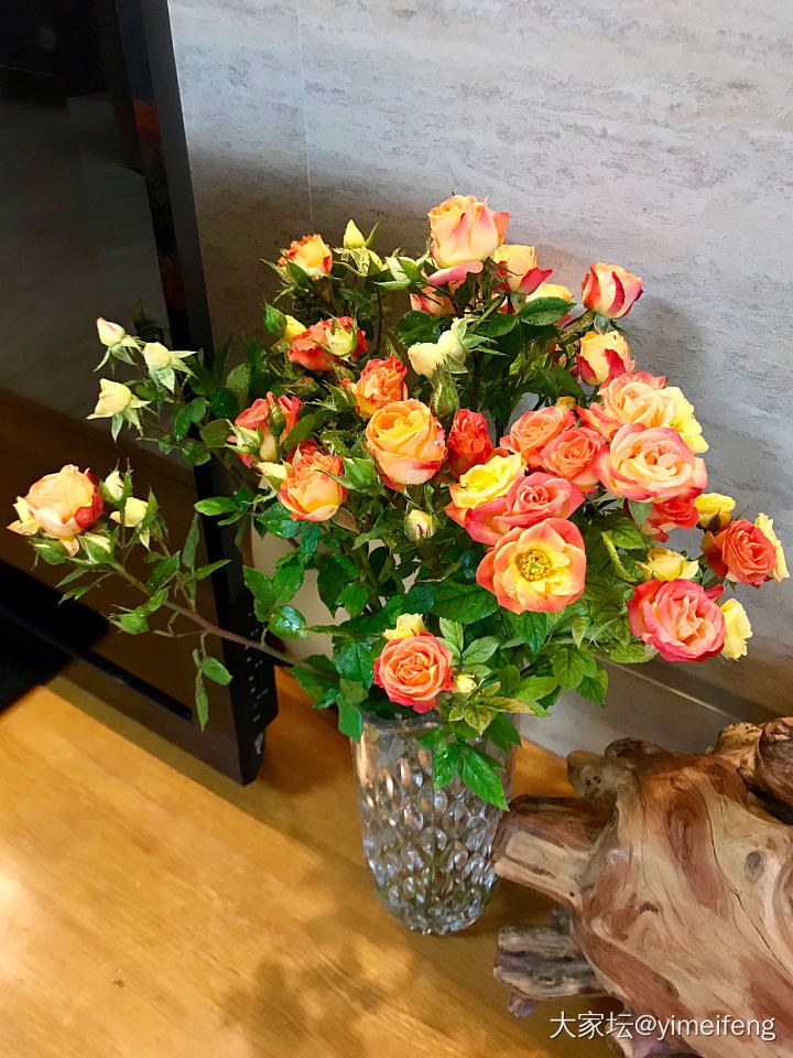 买菜的时候路过花店，顺便买了一把野花一般的小玫瑰，感受一下春天到来的自然气息，这..._花植物