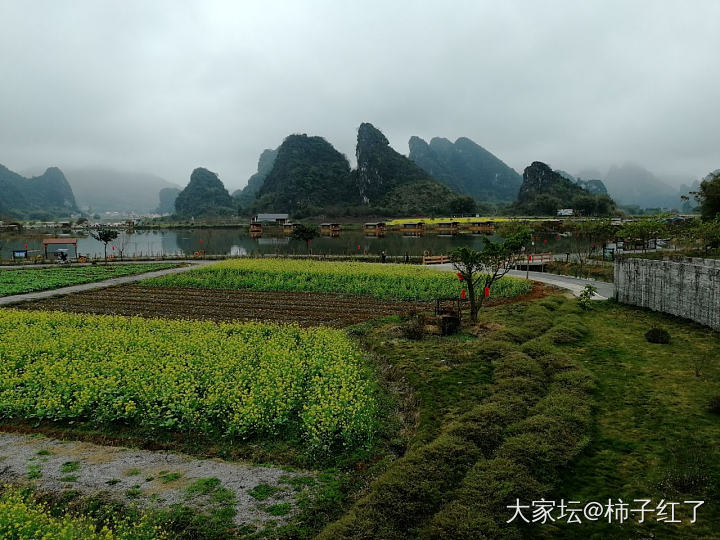 好美！好美！_景色