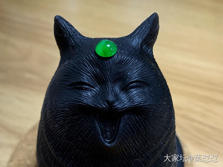 喵一个🐱_蛋面