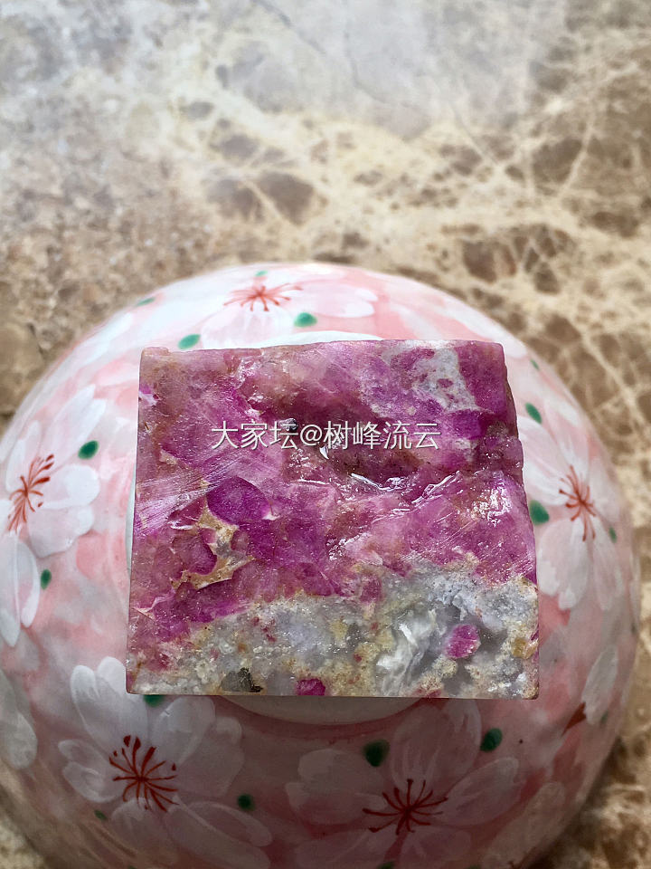 意境樱花_舒俱来