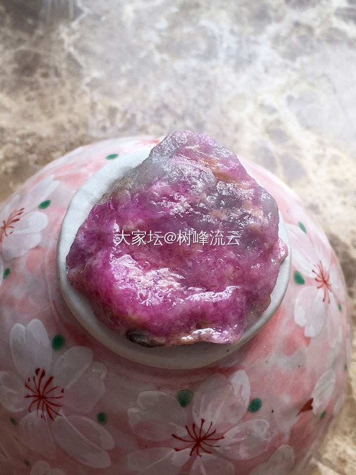 意境樱花_舒俱来