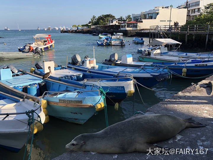 加拉帕戈斯-San cruz_美洲旅游