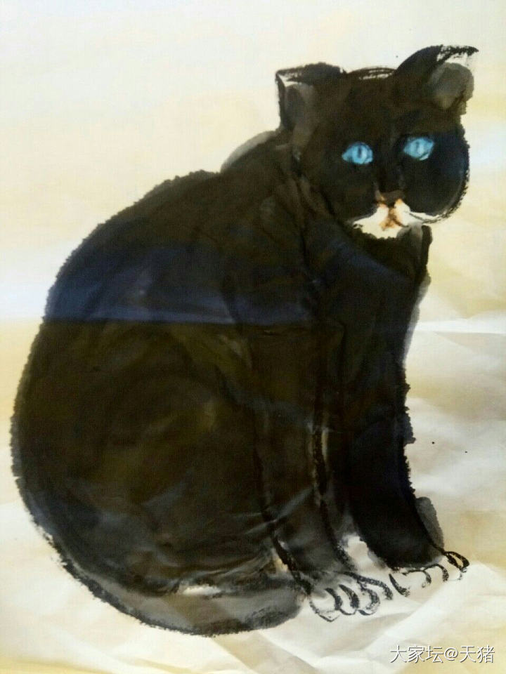 画室的常客，黑猫长大了，今冬不冷，吃的不错，更加肥美了👍_国画