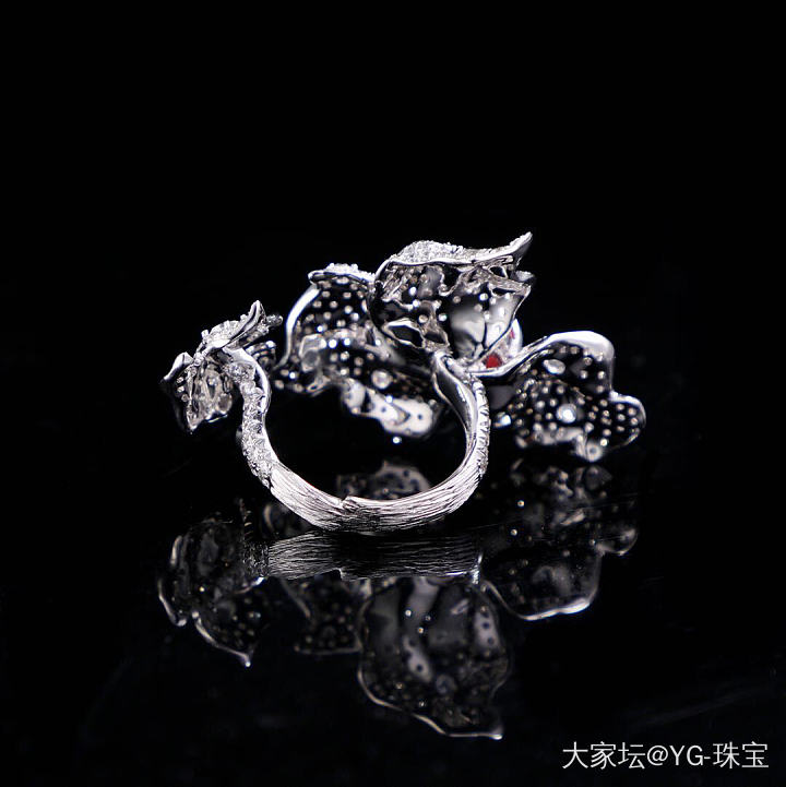 海螺珠戒指💍_戒指海螺珠