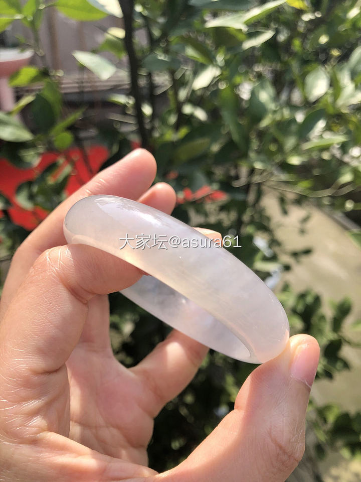 冰糖镯～亮晶晶✨_手镯翡翠