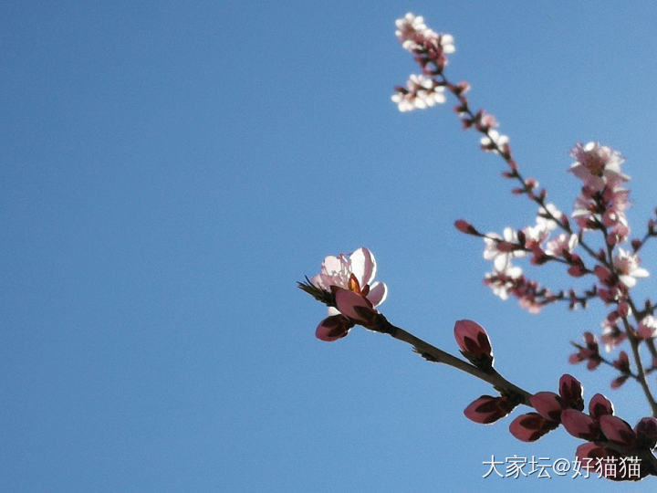 这世间，
唯有美景和美翠不可辜负。
花开正好，微风不燥，
扬帆起航，追逐梦想。_景色