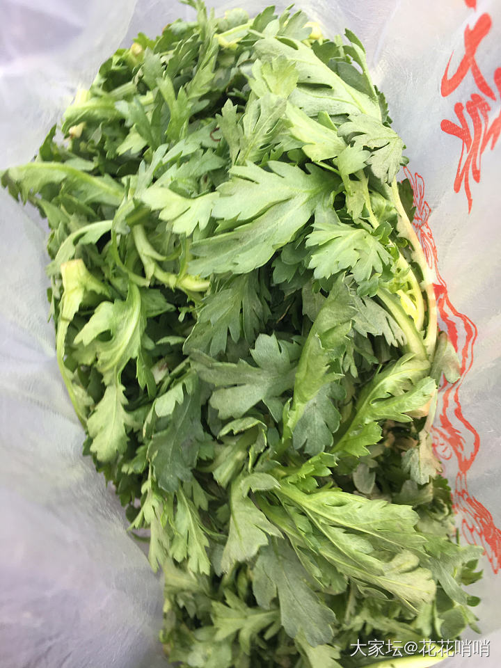 这是什么菜？_食材