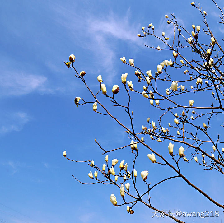 阳光正好。_景色