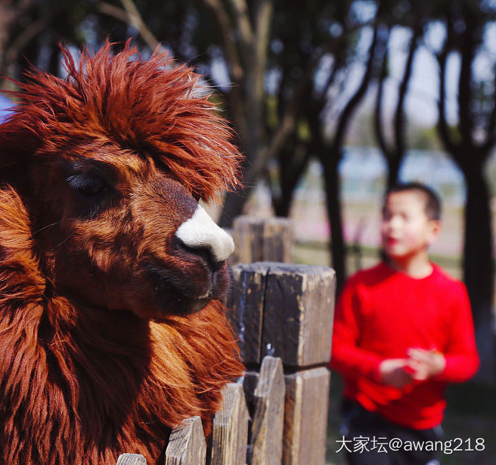 阳光正好。_景色